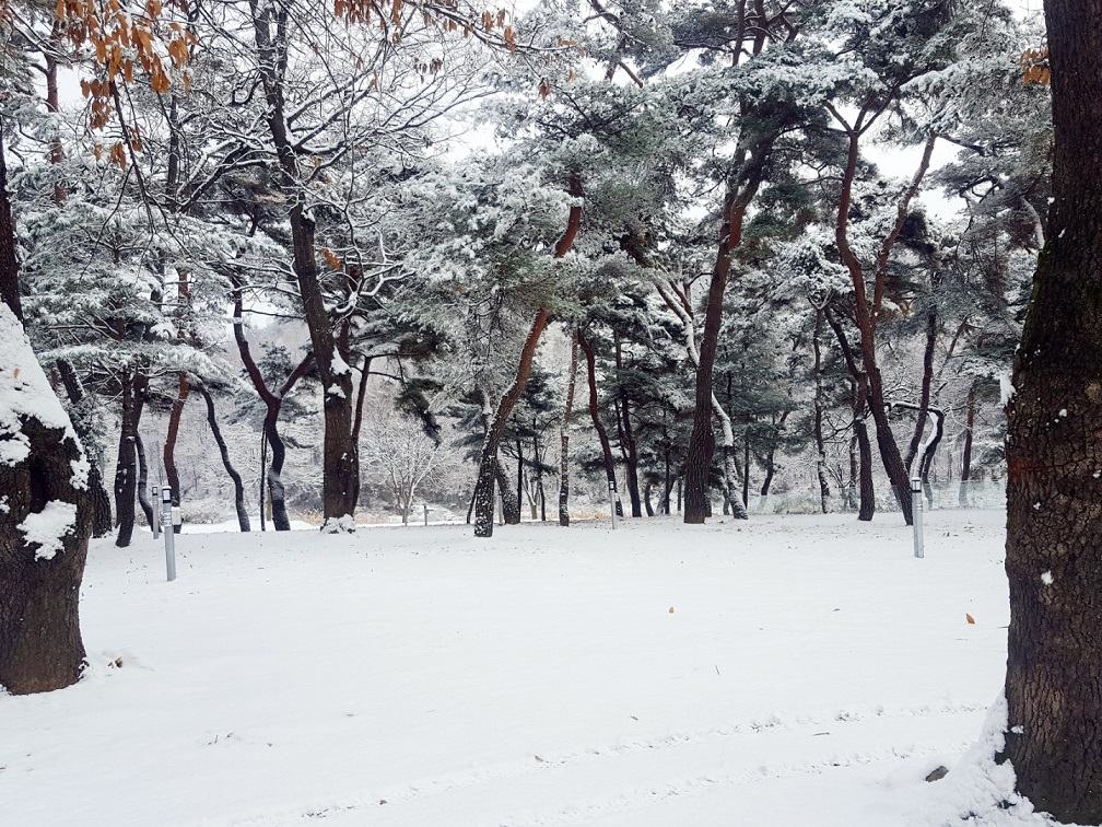 후평숲캠핑장