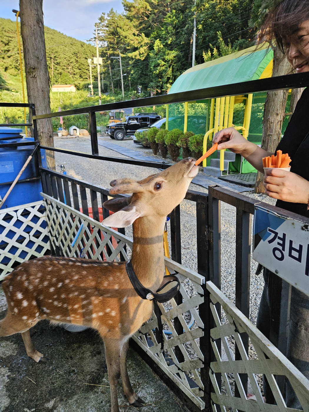 통영 편백숲길 관광농원