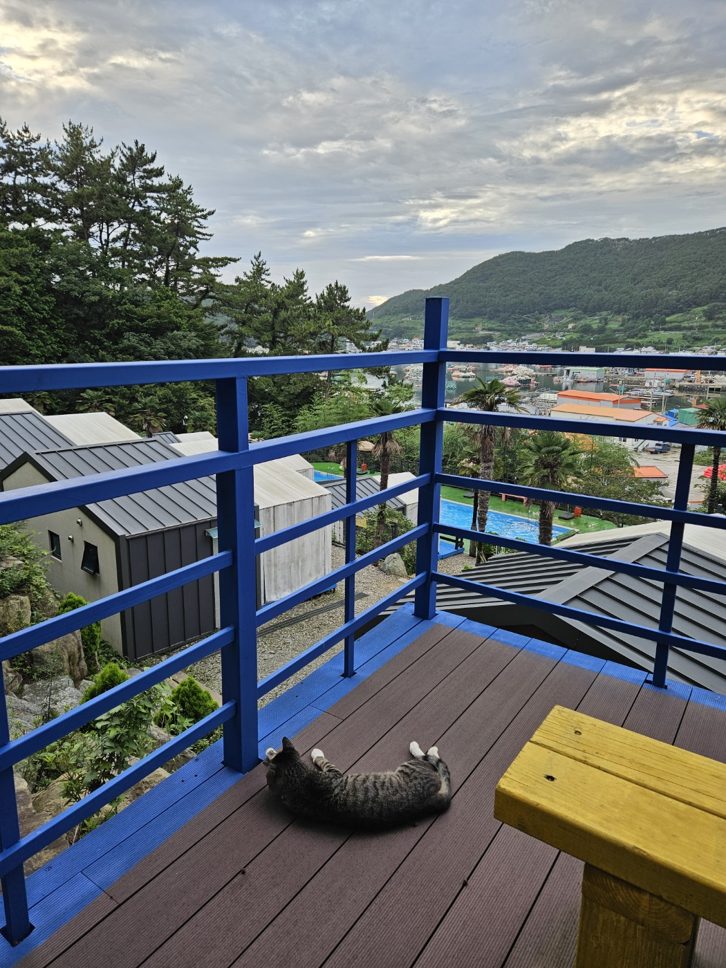 통영 편백숲길 관광농원