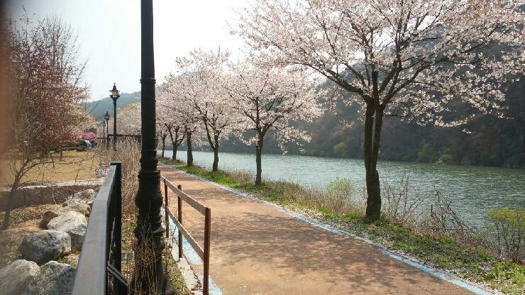괴강관광농원캠핑장