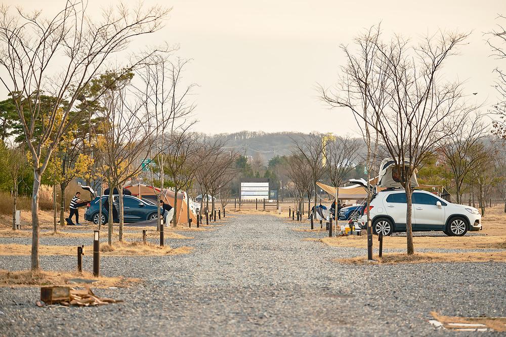 평화누리캠핑장