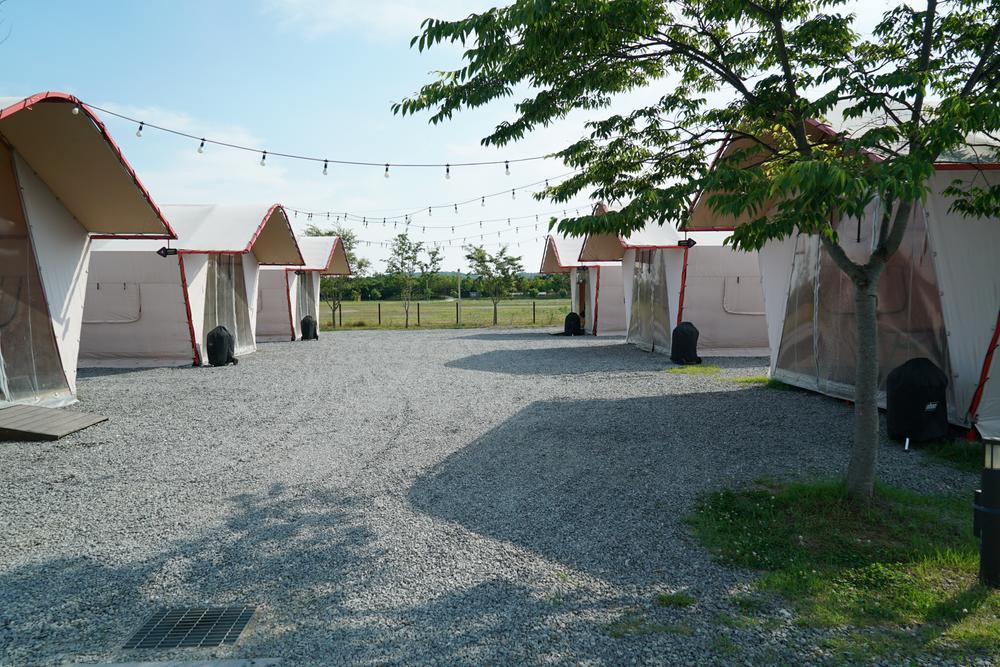 평화누리캠핑장