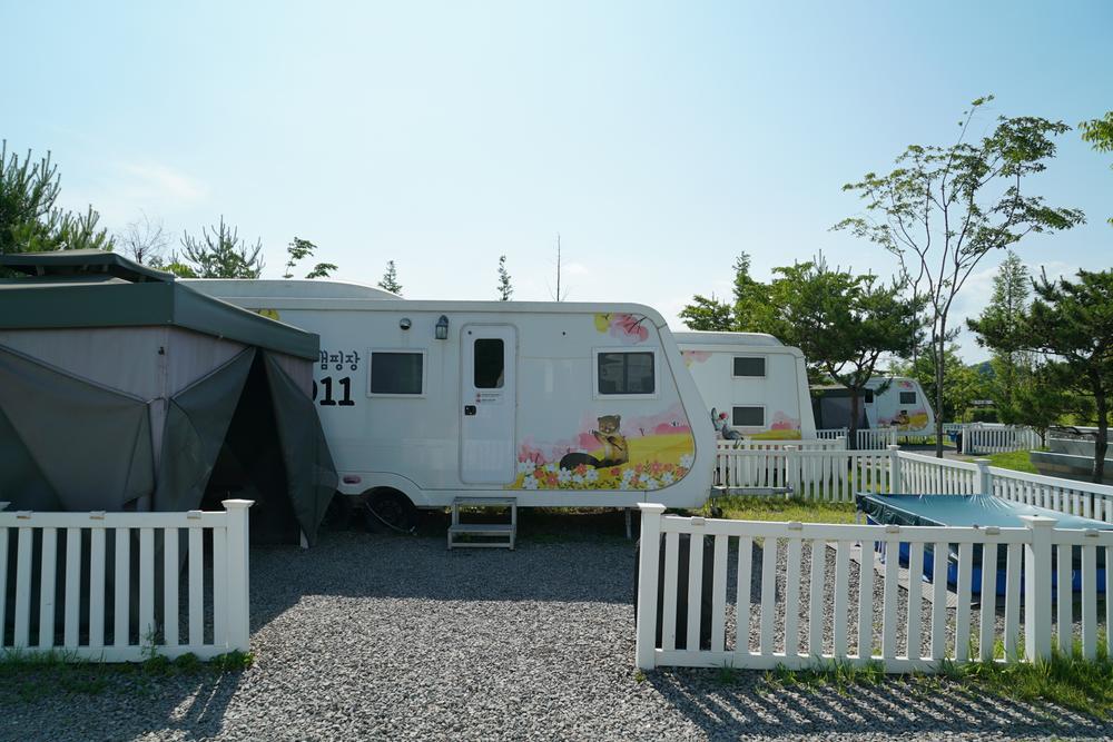 평화누리캠핑장