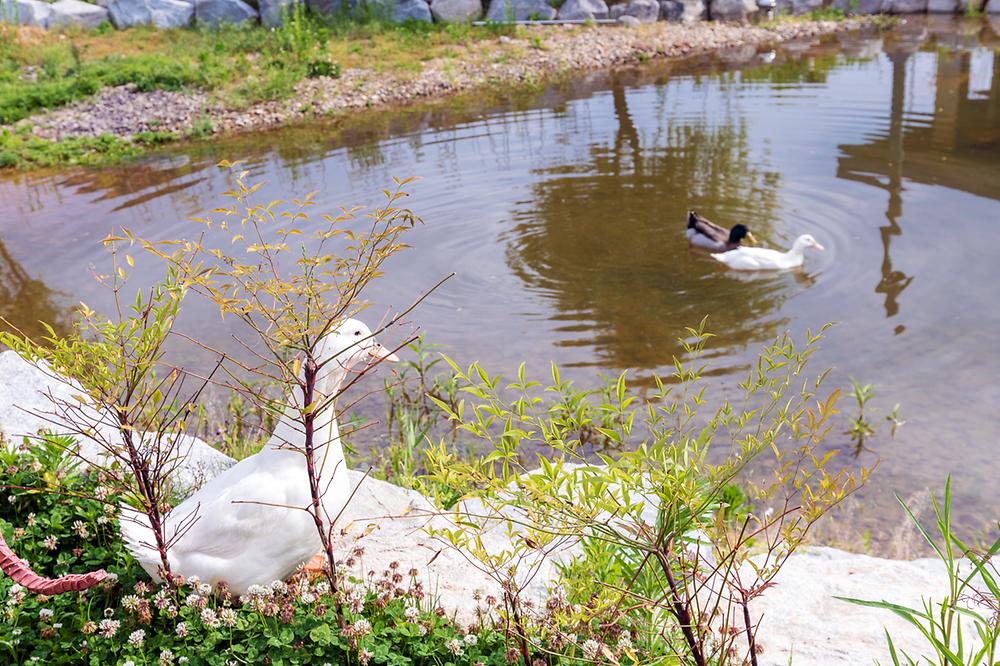 위천수변 테마파크
