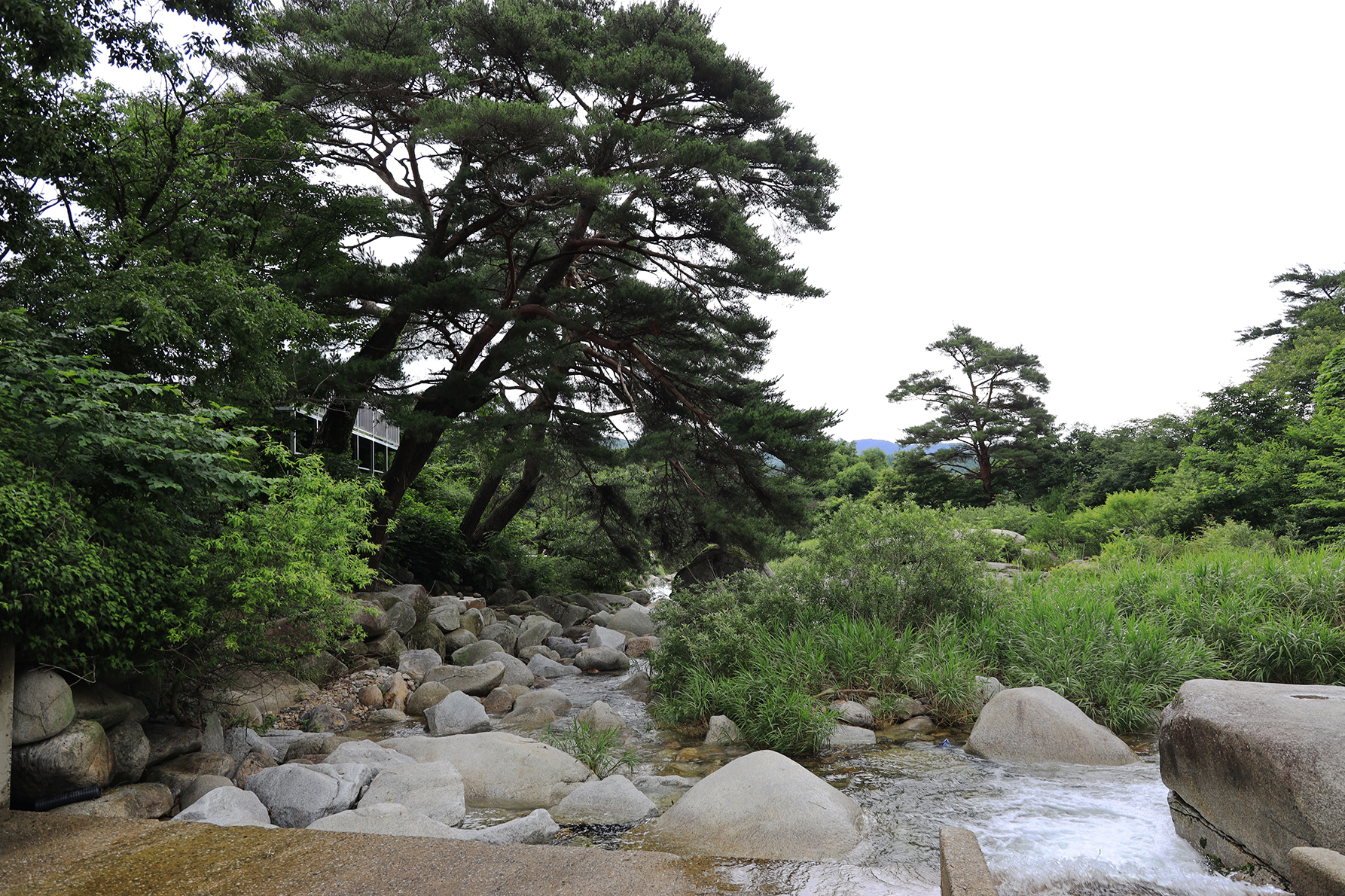 늘예솔 캠핑장