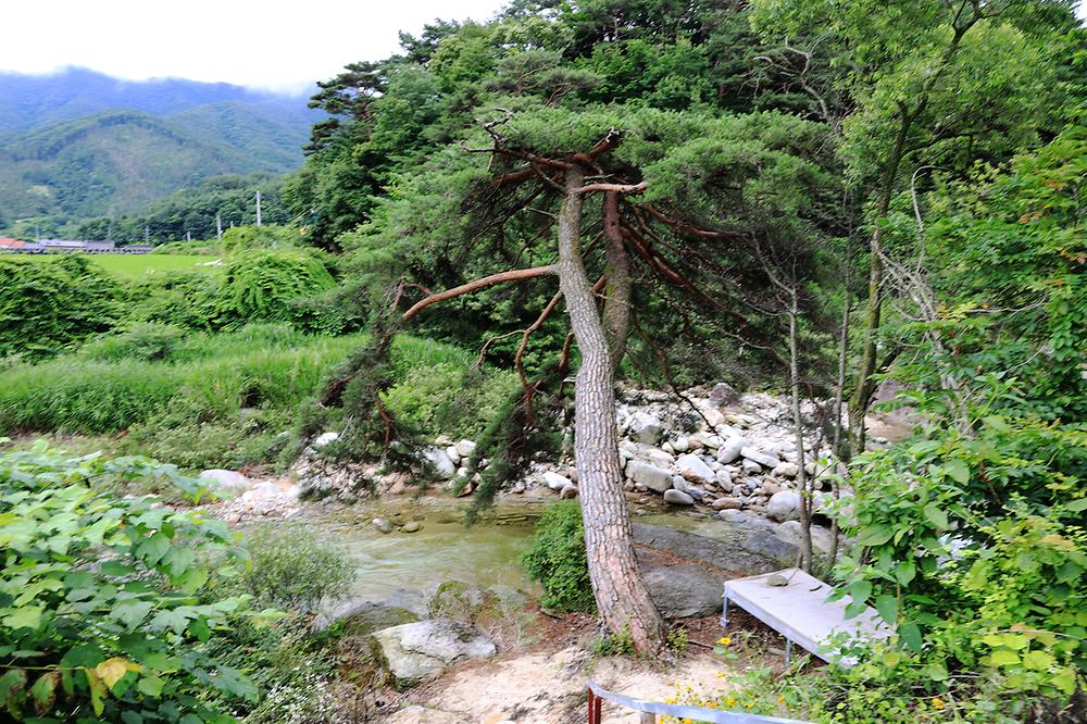 늘예솔글램핑
