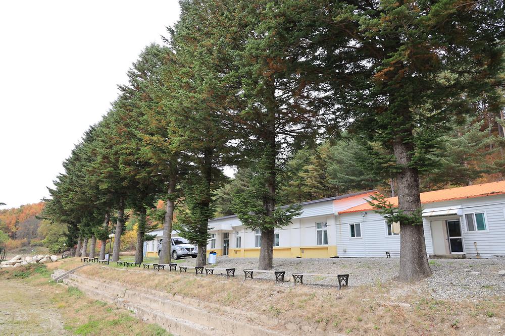 대기리산촌체험학교야영장