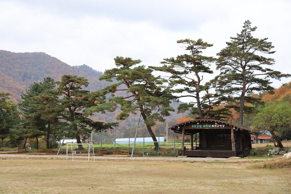 대기리산촌체험학교야영장