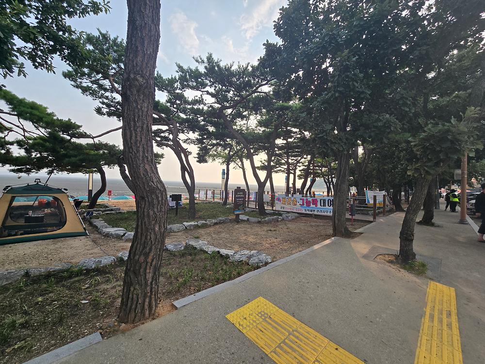 동막리 마을회
