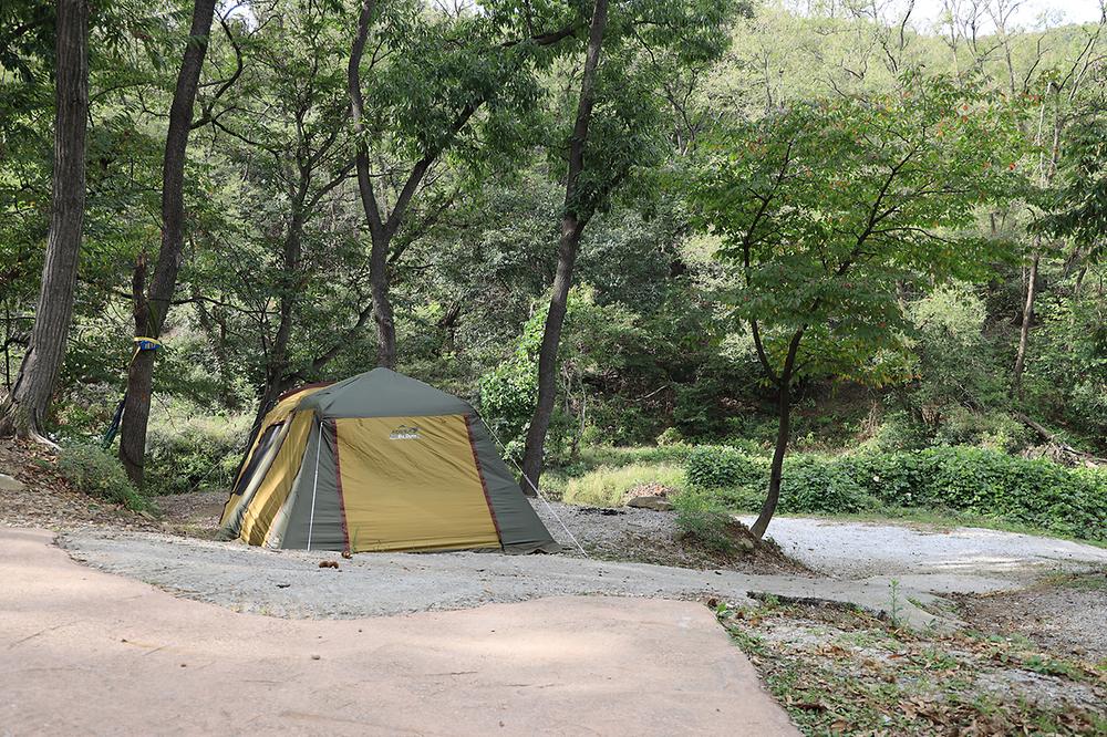뮤즈캠핑장