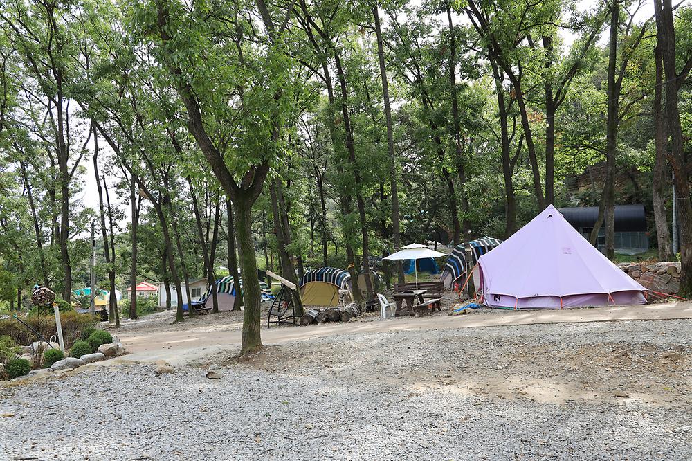 뮤즈캠핑장