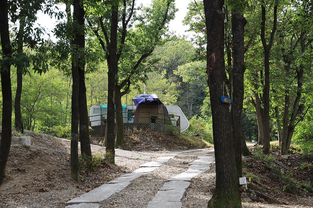 뮤즈캠핑장