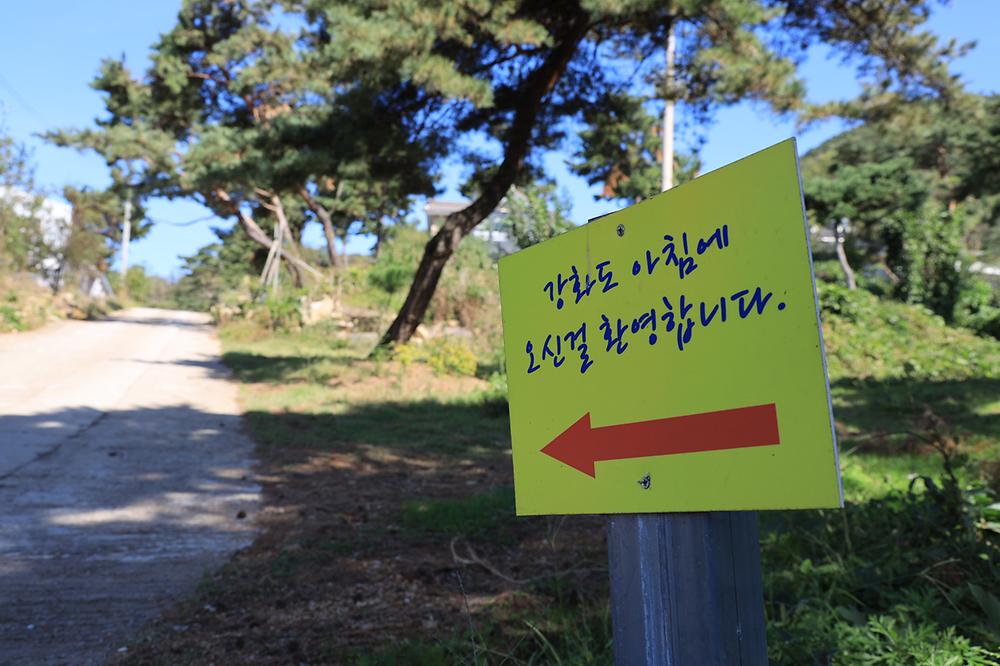 강화도 아침 숲속야영장