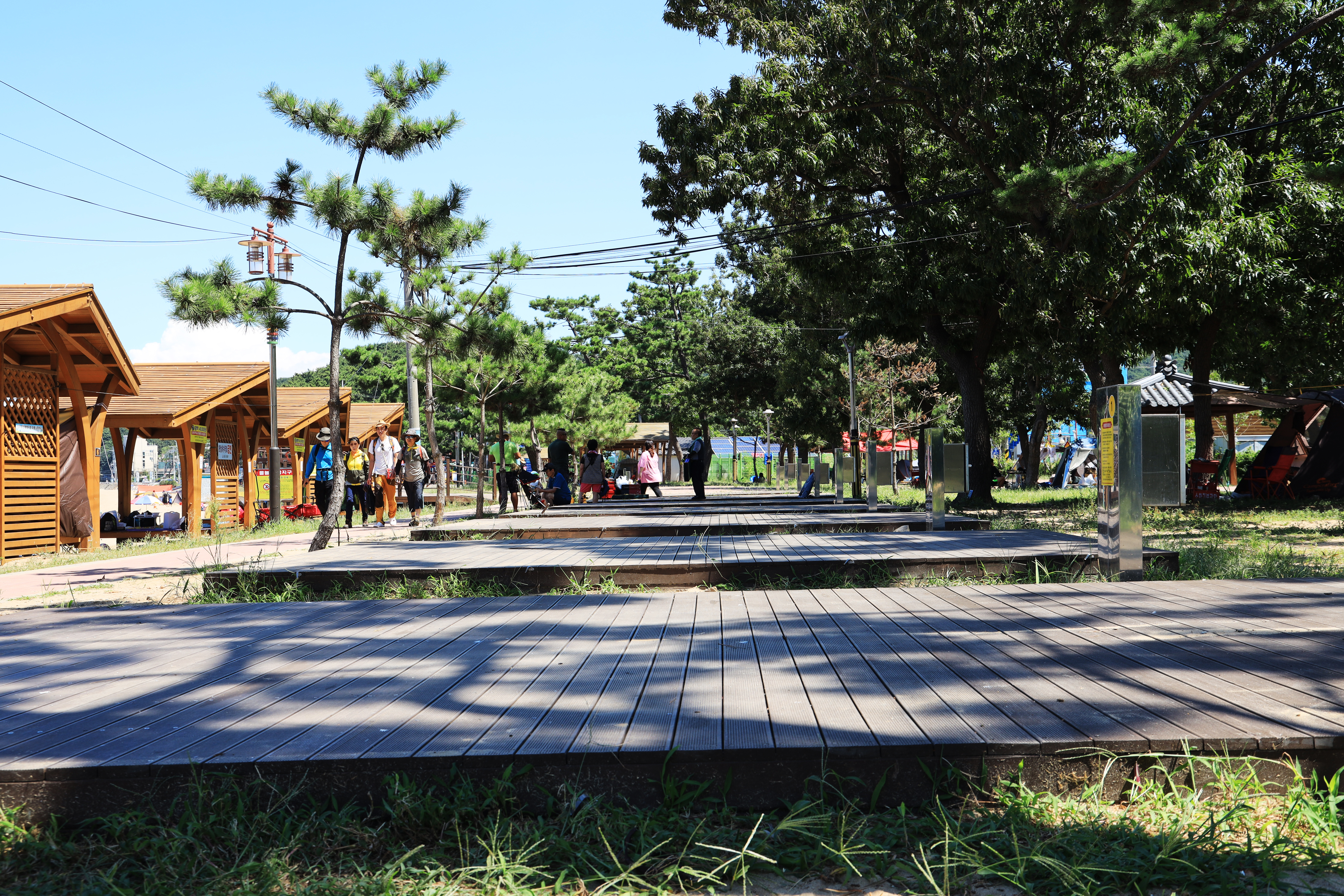 장경리해변 야영장