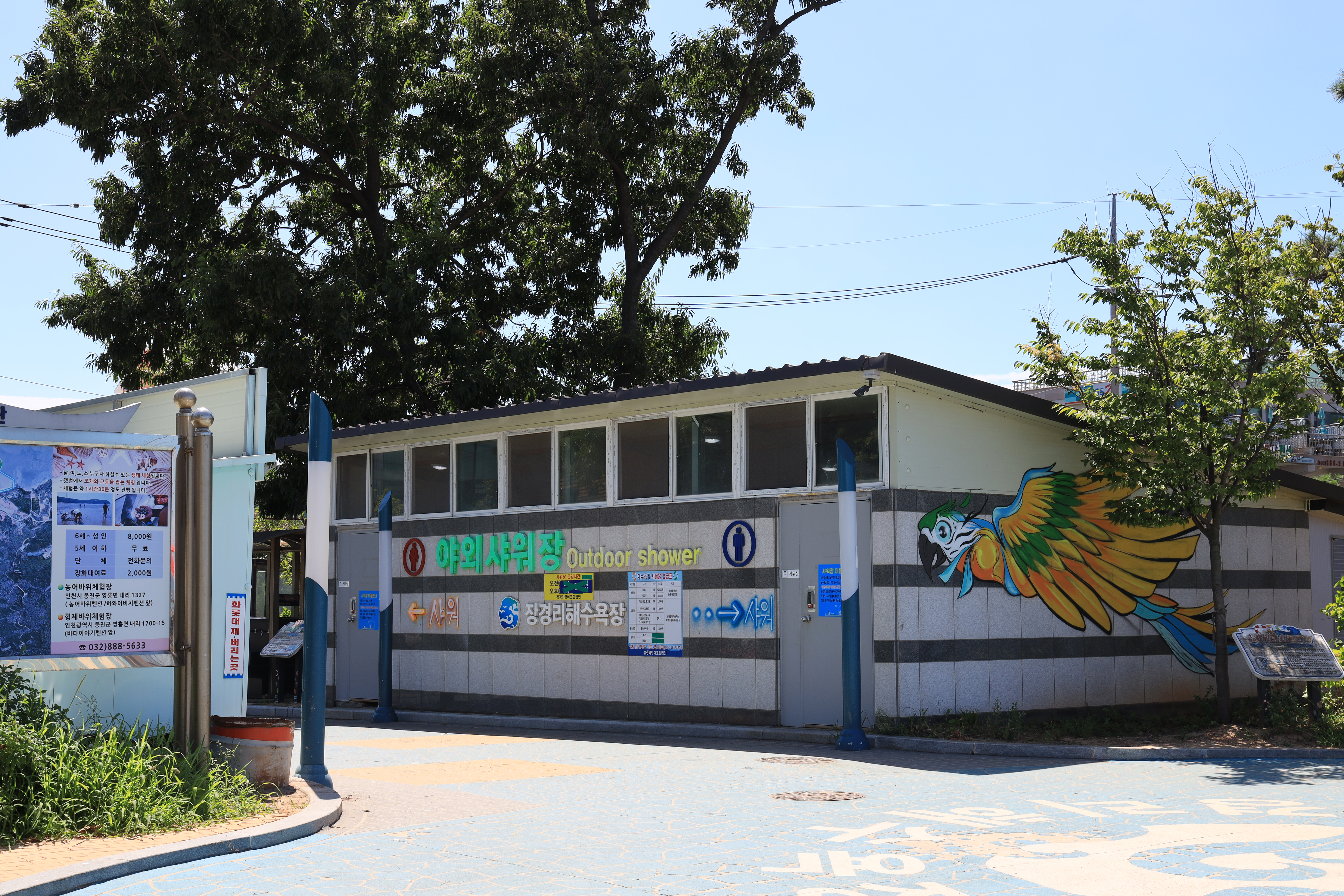 장경리해변 야영장