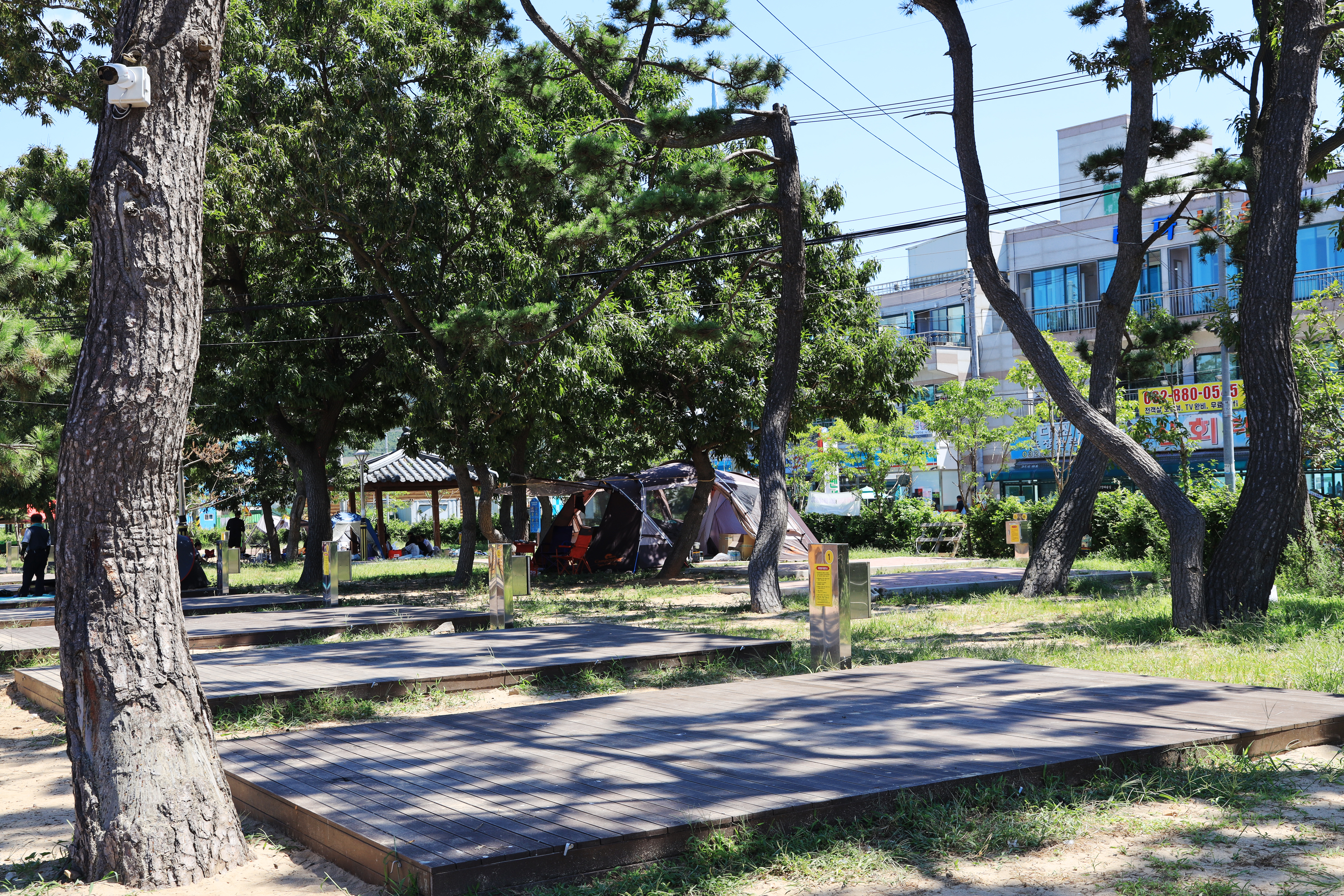 장경리해변 야영장