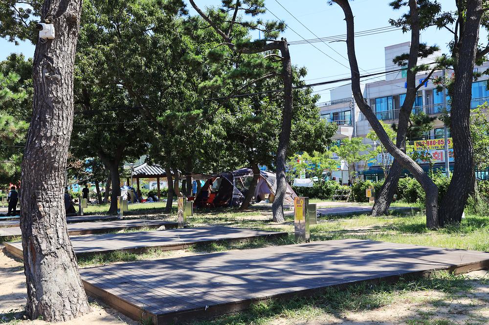 장경리해변 야영장