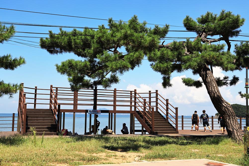 장경리해변 야영장