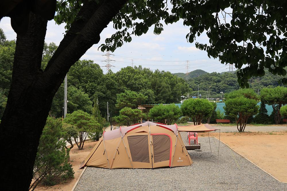 물왕숲캠핑파크