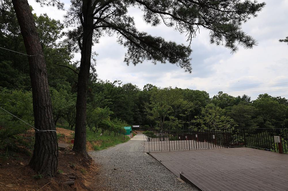 물왕숲캠핑파크