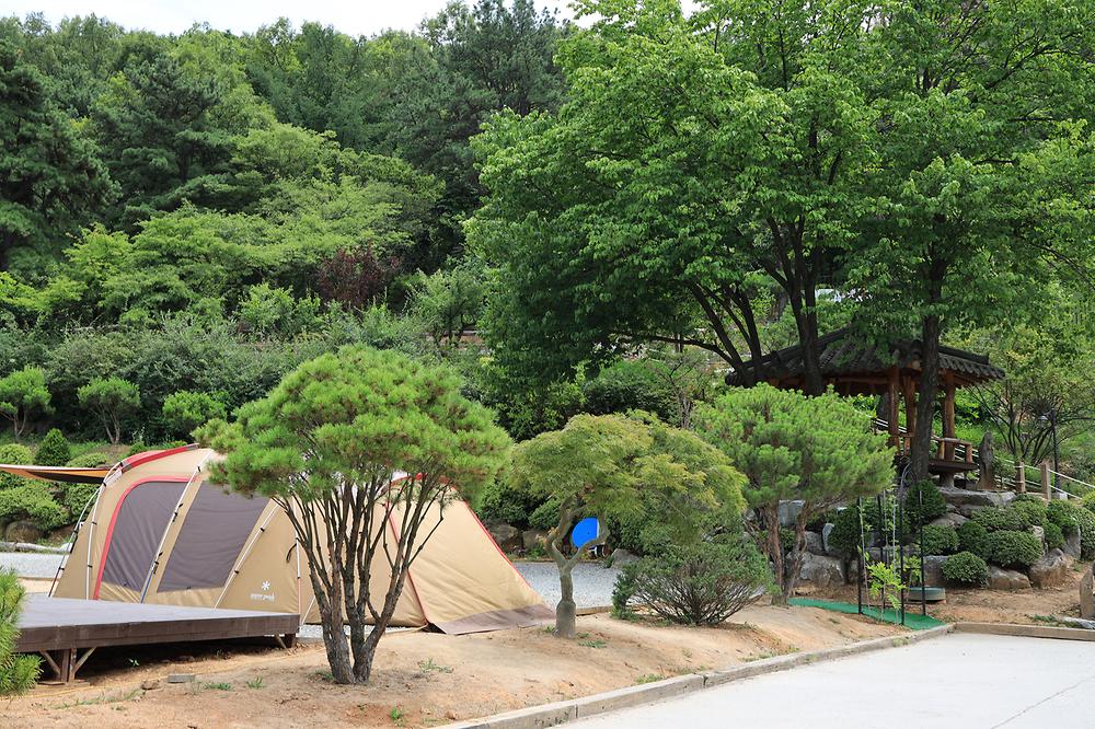 물왕숲캠핑파크