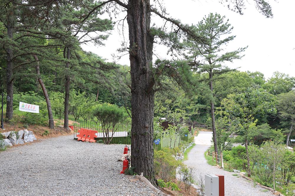물왕숲캠핑파크