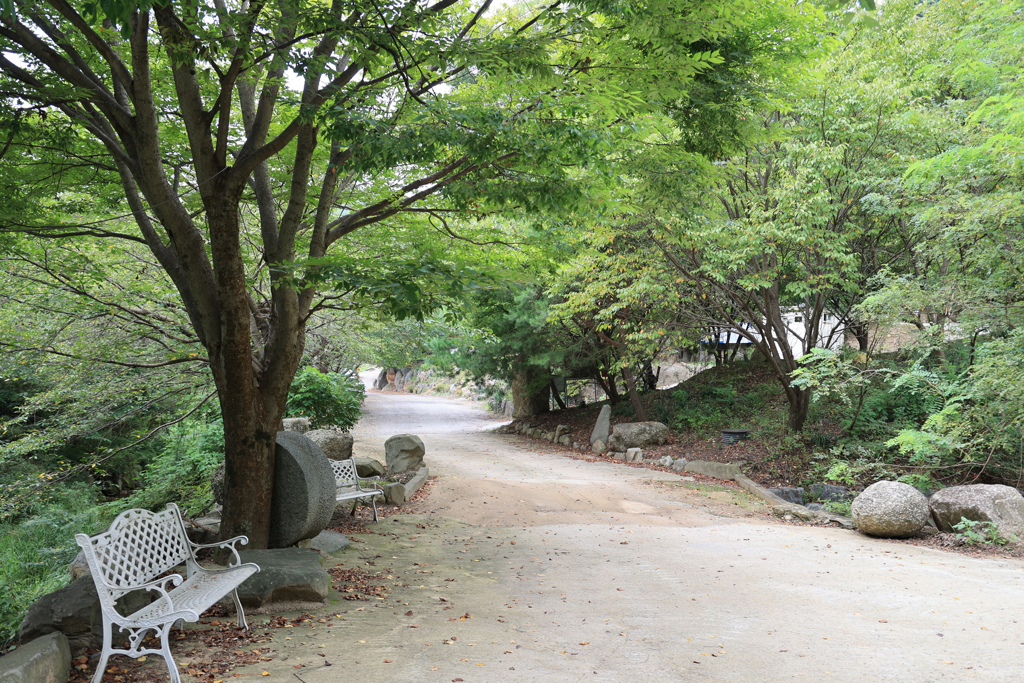 안성운모석캠핑장