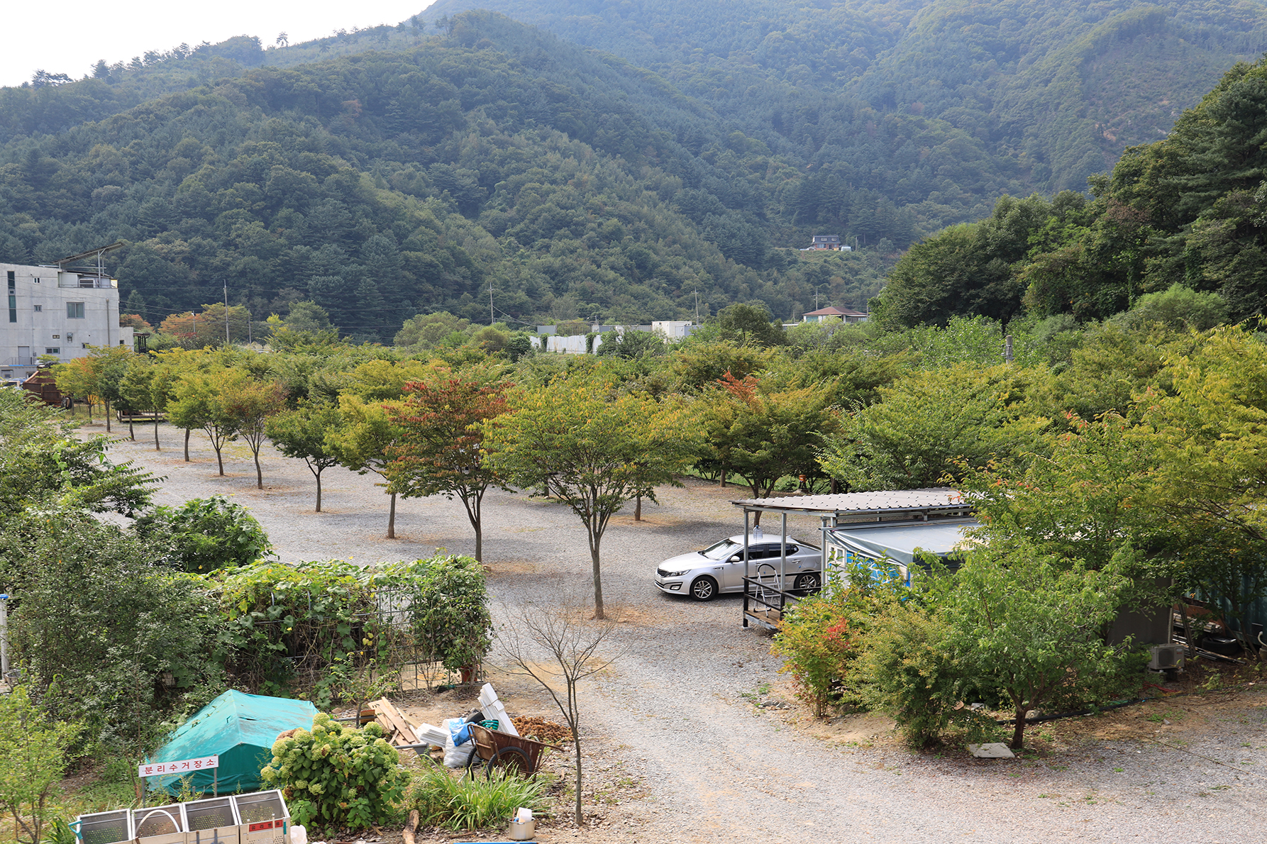 엄소리오토캠핑장