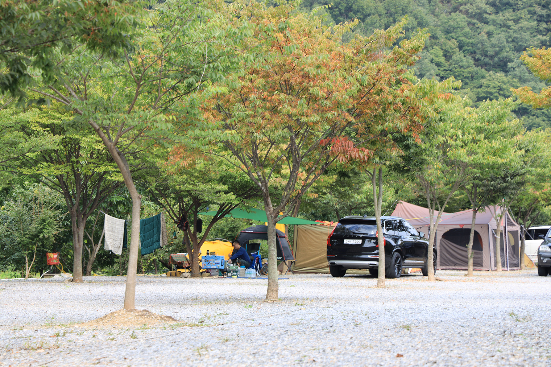 엄소리오토캠핑장