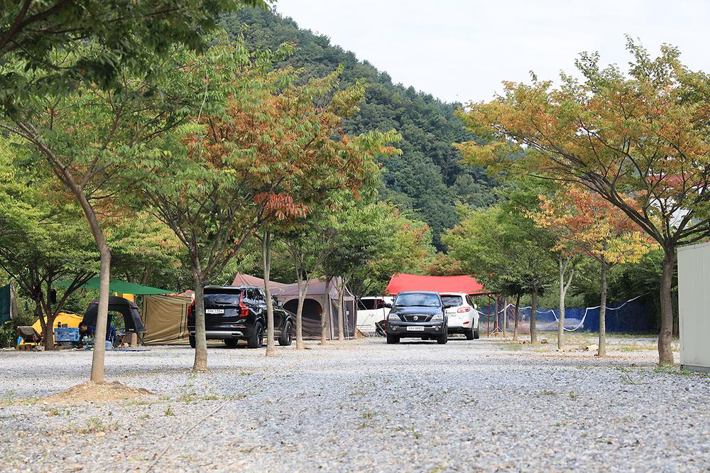 엄소리오토캠핑장