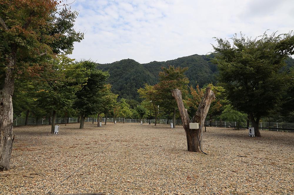 블루래빗