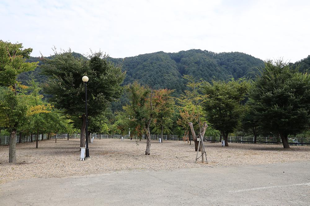 블루래빗
