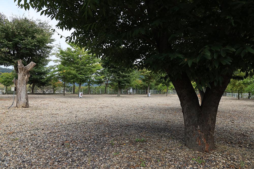 블루래빗
