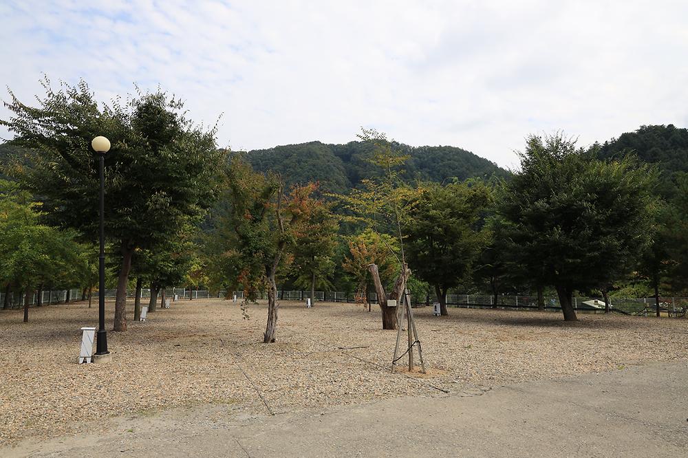 블루래빗