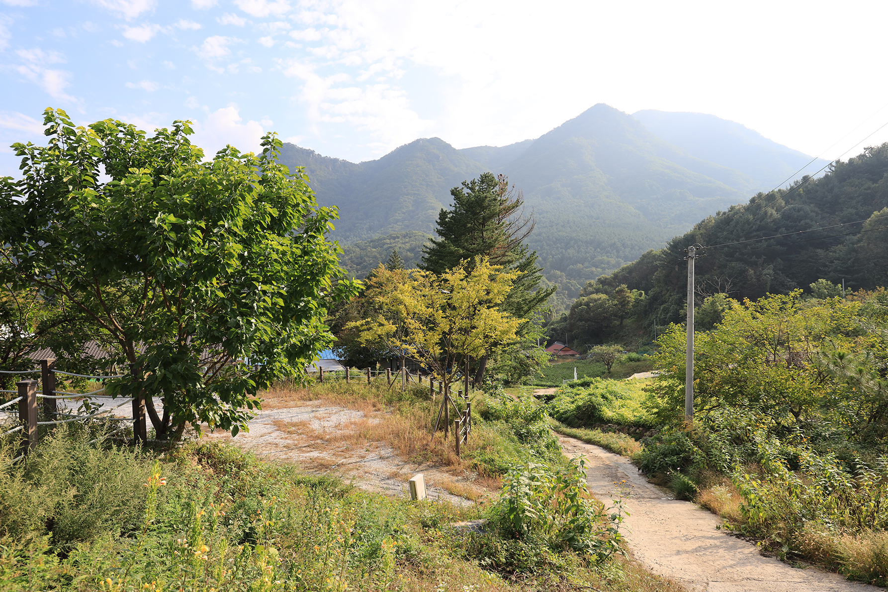 산대분교공공캠핑장