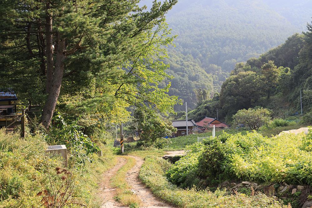 산대분교공공캠핑장