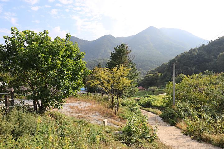 산대분교공공캠핑장