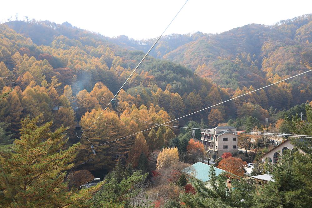 피노키오관광농원 야영장
