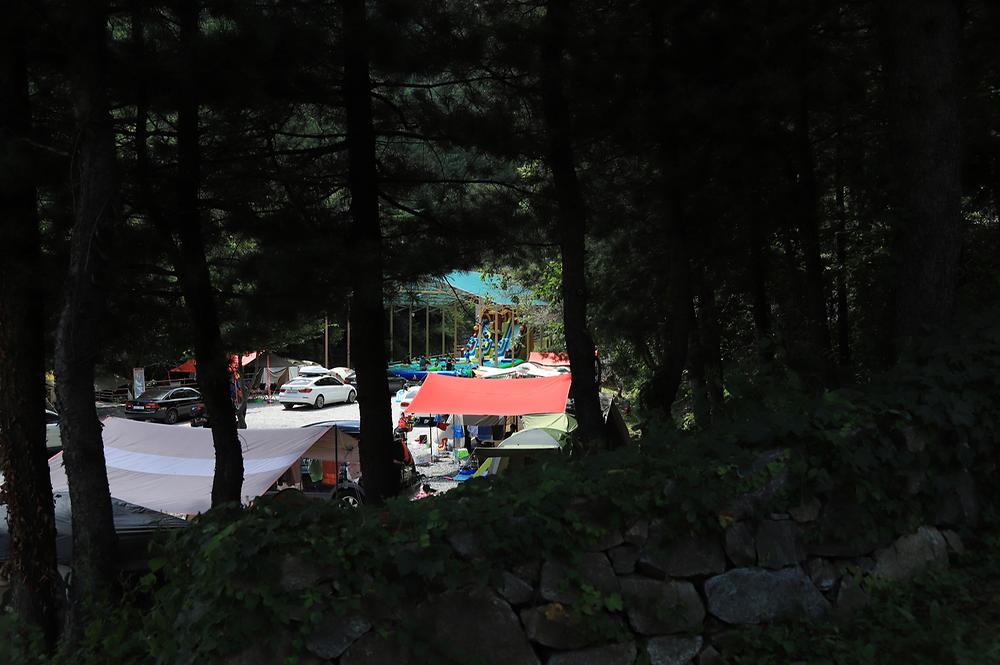 피노키오관광농원 야영장