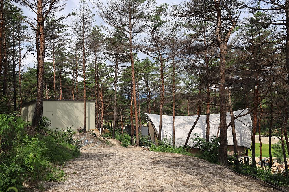 속초 밤하늘글램핑