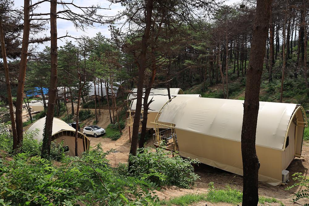 속초 밤하늘글램핑