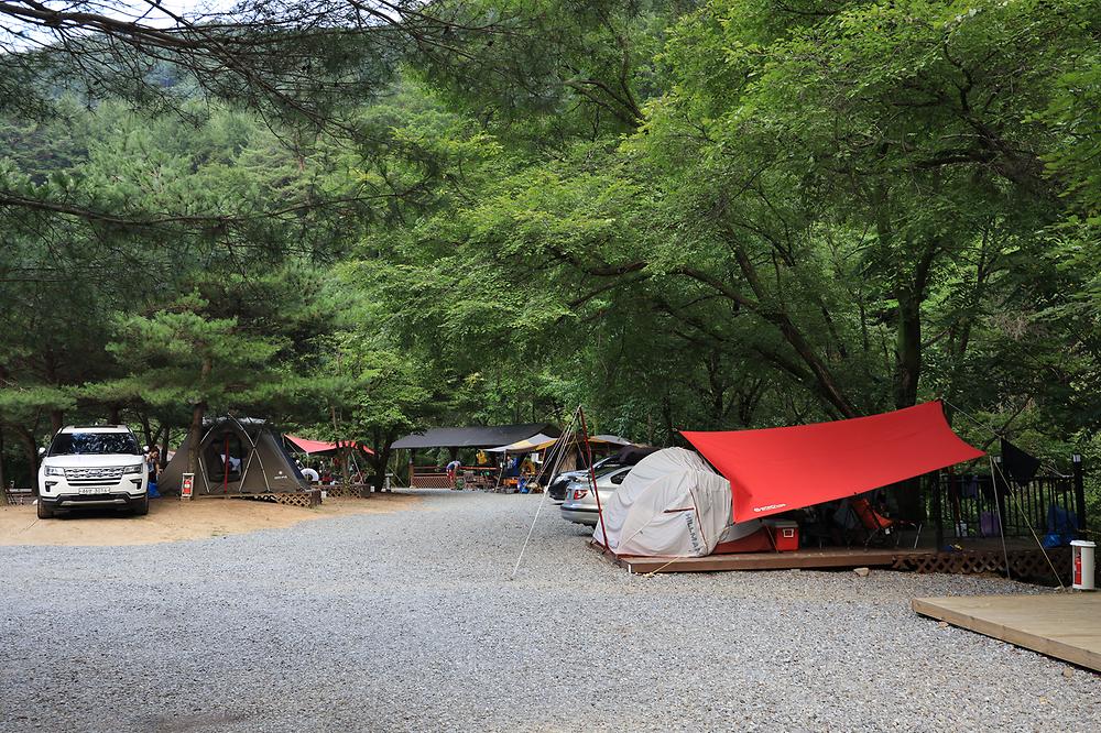 검산별빛캠핑장