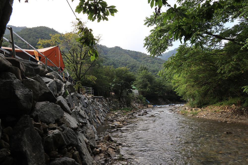 검산별빛캠핑장