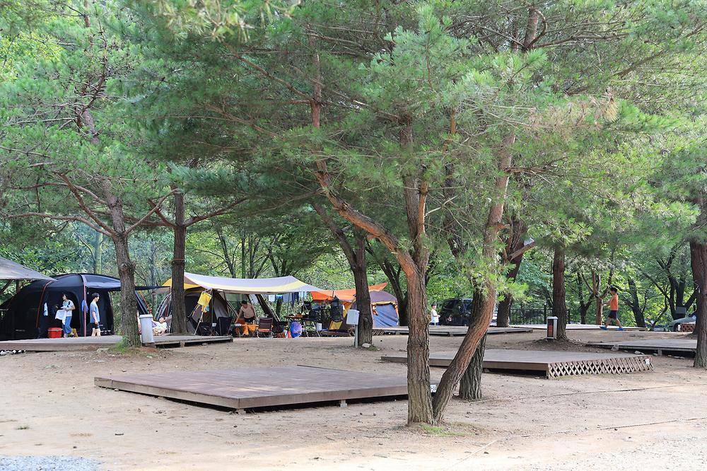 검산별빛캠핑장