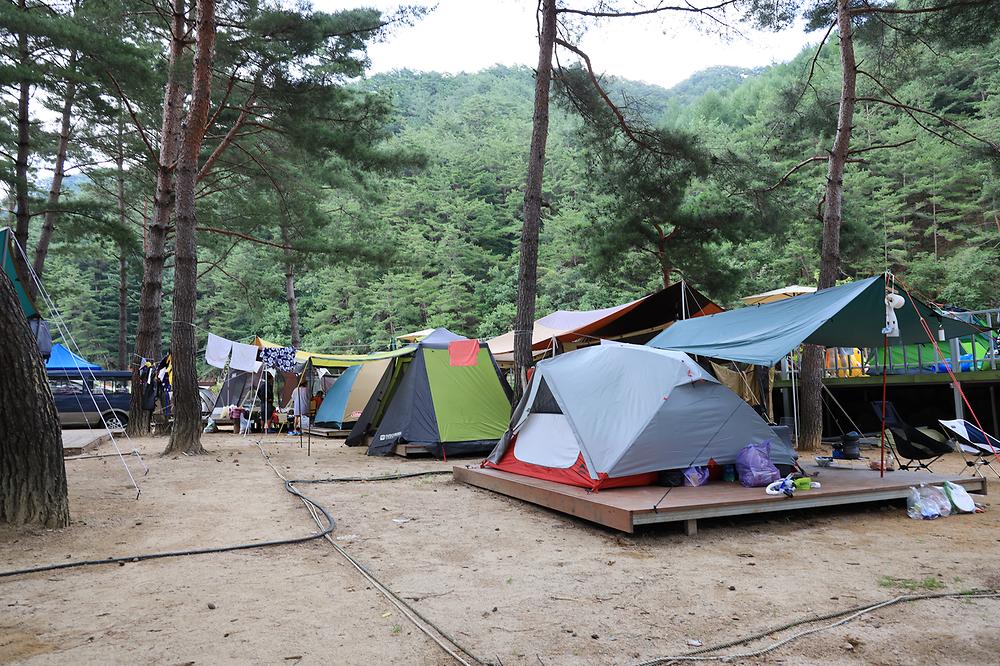 용오름캠핑장