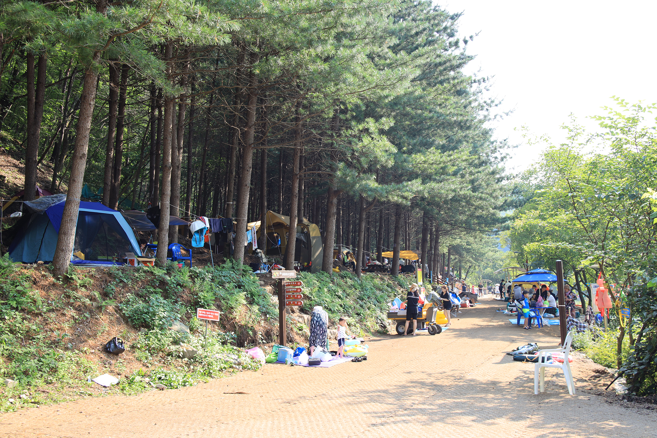 선바위 자연캠핑장