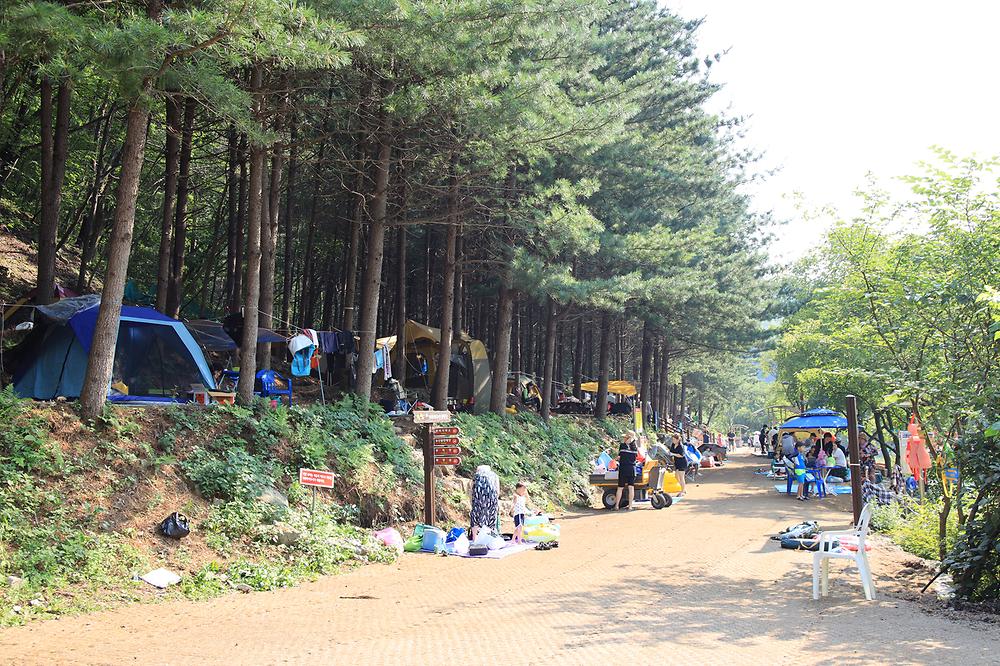 선바위자연캠핑장