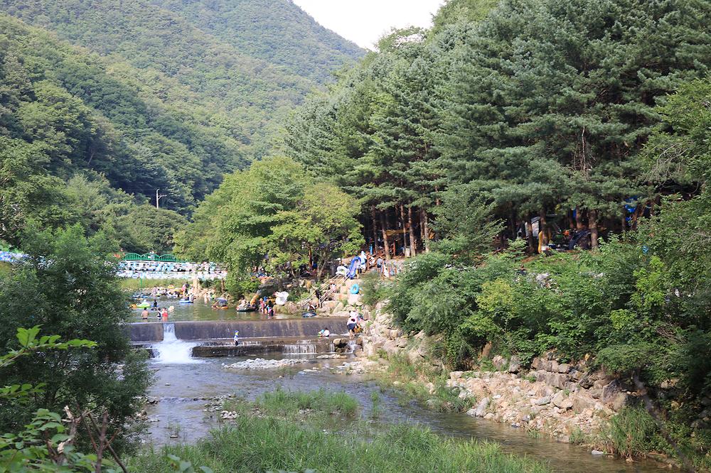 선바위자연캠핑장