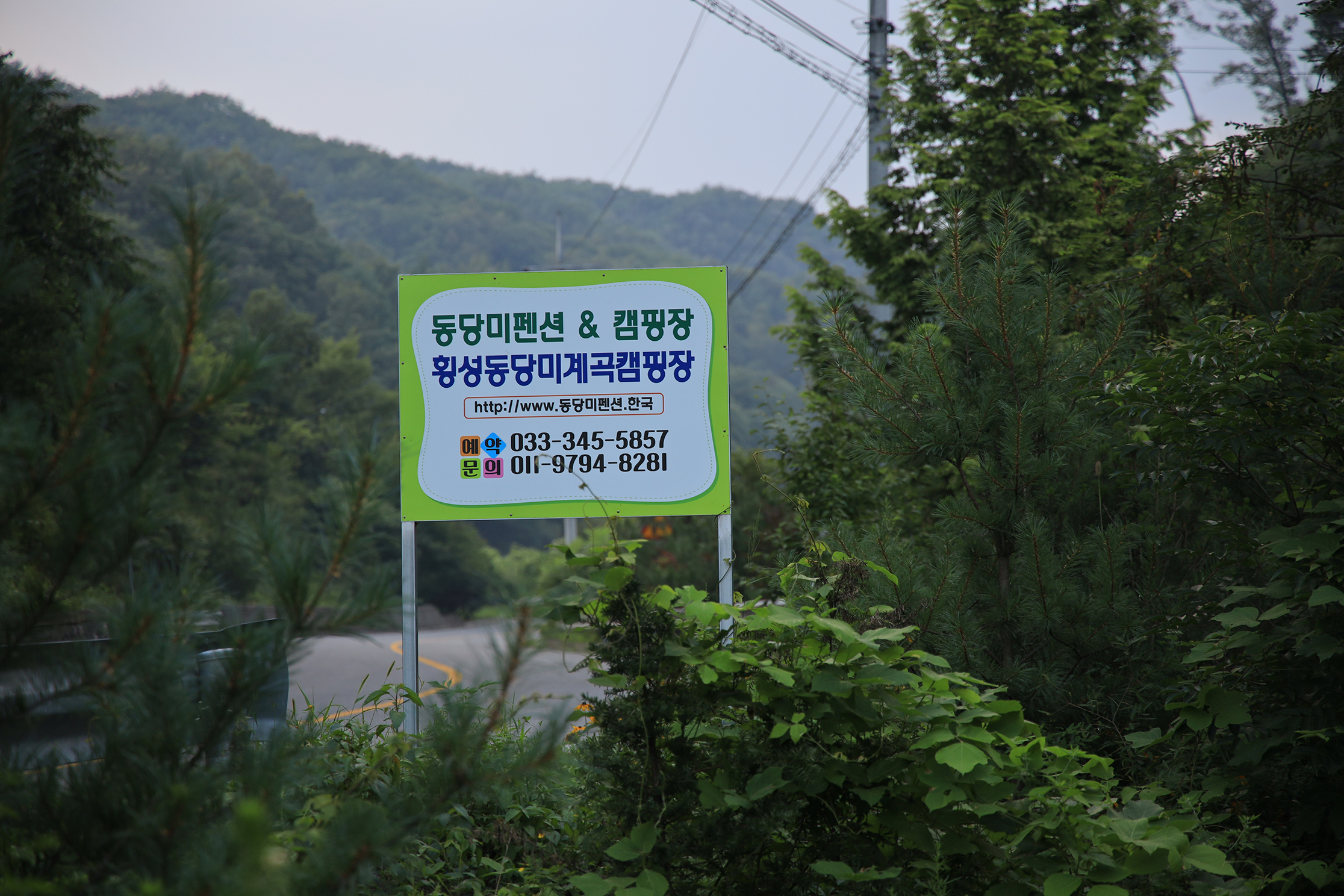 동당미펜션 야영장