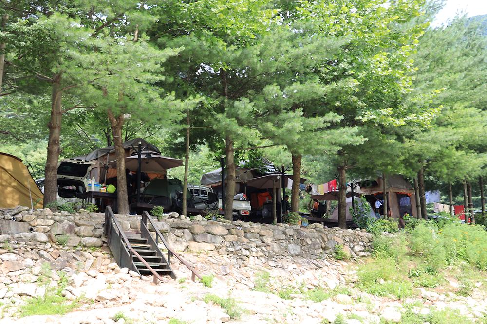 스카이 펜션&캠핑장
